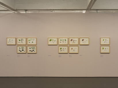 Abel Rodríguez—Mogaje Guihu, The tree of life and abundance, exhibition view. Courtesy of MASP 