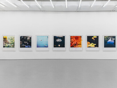 François Halard, Conversation with Claude, exhibition view. Courtesy of Ruttkowski;68 