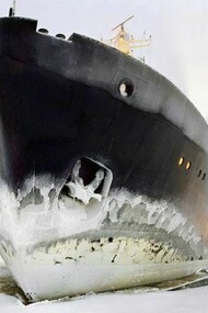 Luca Campigotto, Transatlantico