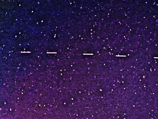  La naturaleza dando lugar a la tecnología. Seis satélites son fácilmente visibles; un séptimo es muy tenue a la derecha. Tenían una magnitud de 3,3 y eran visibles a simple vista. La exposición fue de 2 segundos, Satélites Starlink 6, vistos el 28 de abril de 2020 sobre el estado de Georgia, EE. UU.