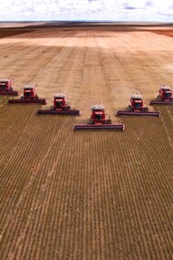  Il più grande libero mercato della terra?