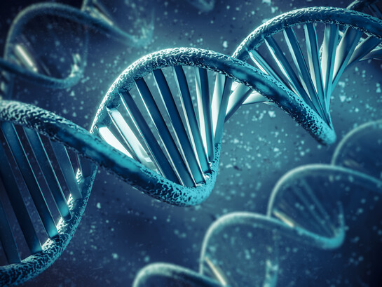 Dans l’enchaînement silencieux de l’ADN se joue l’articulation du hasard et de la nécessité : une information née de rencontres contingentes, mais dont l’ordre gouverne la fabrication du vivant