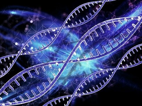 Beyond chemistry, DNA functions as a system of signs—copying, coding, and communicating life