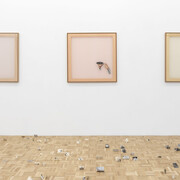 Clara Sánchez Sala, Del marfil al color hígado [From ivory to liver-tone], exhibition view. Courtesy of NF/Nieves Fernández Gallery
