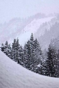 Snow covers practically everything in Yuzawa