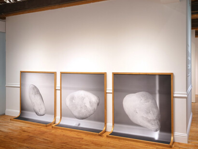 Liam Davis, Living with it, exhibition view. Courtesy of Goya Contemporary Gallery 