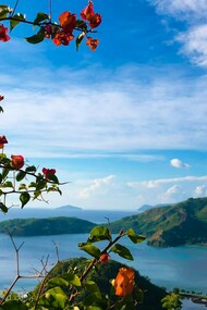 A scenic capture of Sleeping Dinosaur Island, reflecting the unspoiled beauty that defines Davao