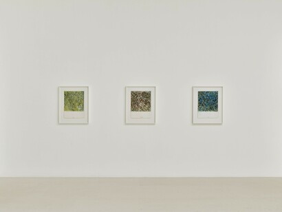 Brice Marden, Works on paper, exhibition view. Courtesy of Gagosian