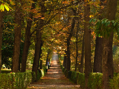 El parque del Retiro se transforma, desde  que fue declarado público, en uno de los lugares más visitados por los madrileños. Otoño en Parque del Retiro, Madrid, España