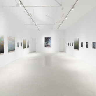 Stijn Cole, El tiempo suspendido, vista de exhibición. Cortesía de la Galería Hilario Galguera 