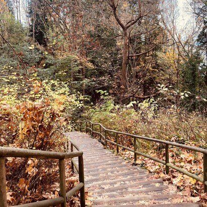 Stairway leading down to Wreck Beach, Vancouver, Canada
