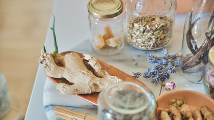 Long before modern medicine, people observed nature closely and learned which plants eased pain, reduced fever, or helped wounds heal