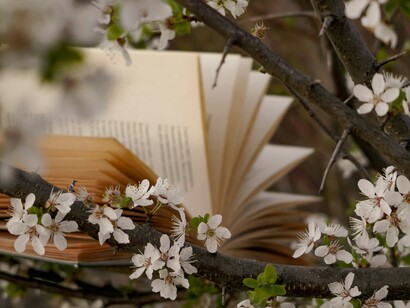 La lettura sviluppa il pensiero critico e arricchisce il linguaggio