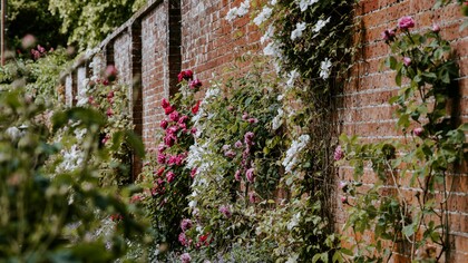 Oggi deve trivellare un piccolo muro di cinta, gliel’ha chiesto il signor Giorgio che ha appena fatto pace con Martina e gli farà aprire di nuovo quel piccolo varco nel tramezzo del suo giardino