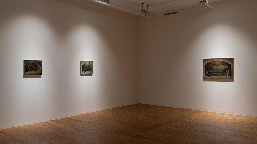 Lewis Hammond, The rabbits, exhibition view. Courtesy of 47 Canal