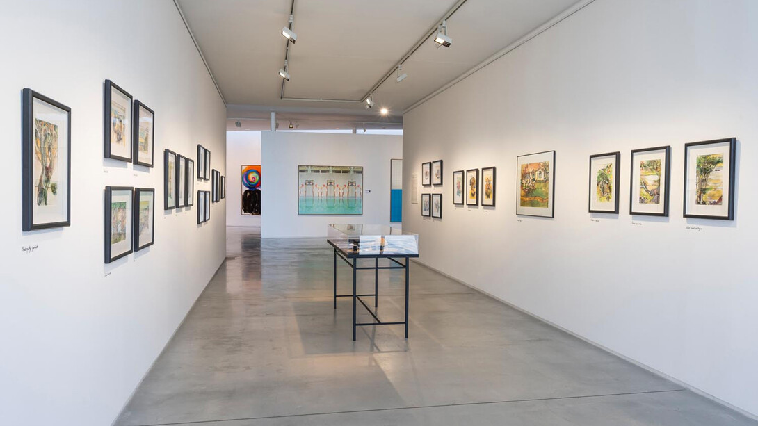 Jaroslava Bičovská, California diary, exhibition view. Courtesy of Danubiana