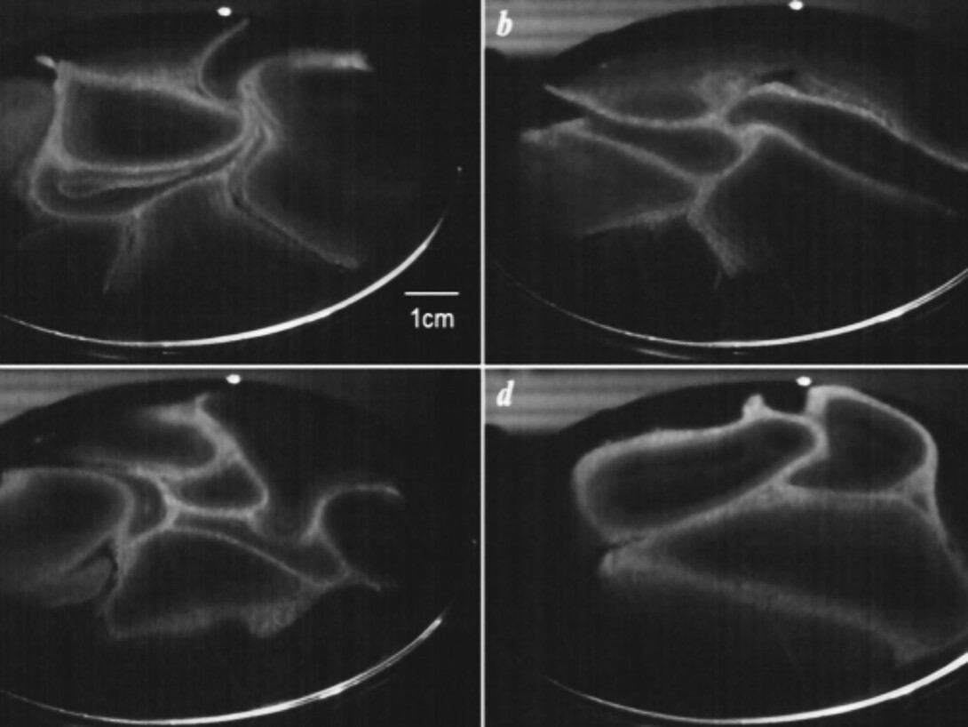 How does water evaporate? Meer