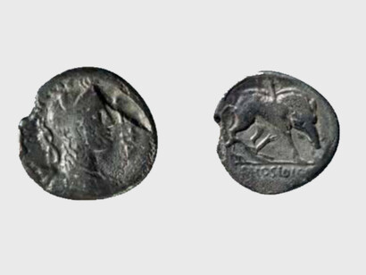 Denario di P. Crepusius. D/ Busto drappeggiato di Diana a d., con arco e faretra sulla spalla; a d. GETA; a s. III VIR. R/ Cinghiale a d. colpito da una lancia e attaccato da un cane; in esergo C. HOSIDI. Inv. 1455504/20. Museo Archeologico di Napoli, Italia