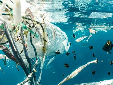 A Semana Nacional da Ciência e Tecnologia utilizou oficinas interativas e exposições culturais para mostrar como a ciência conecta pessoas, territórios e o meio ambiente. Ainda há muito que não sabemos sobre o oceano