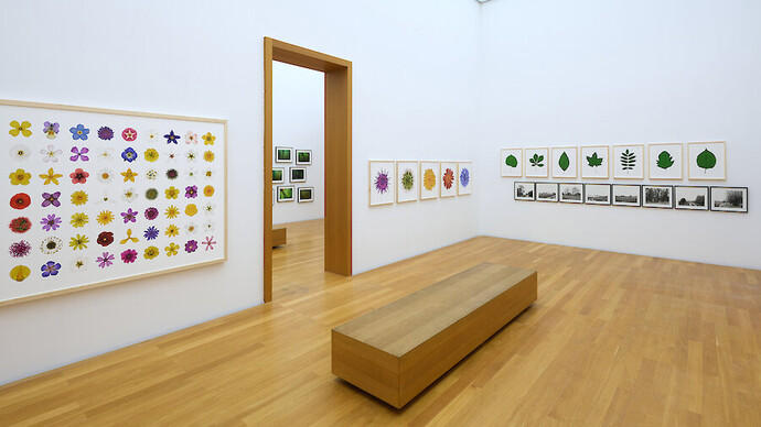 Various artists, On land, exhibition view. Courtesy of Museum der bildenden Künste Leipzig