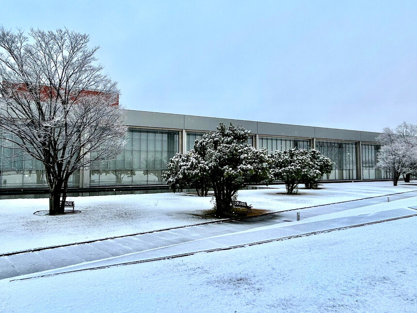 A garden library in the open fields