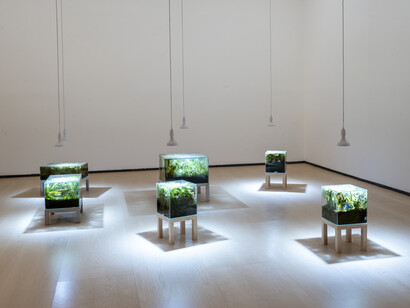 Les arts de la Terre, vue de l'exposition. Avec l'aimable autorisation du musée Guggenheim de Bilbao