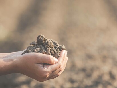Mani che tengono un mucchio di terra fertile: "È questo terreno che produce il senso di appartenenza al gruppo e alla comunità, che rende possibile il riconoscersi come parte di un medesimo ecosistema"