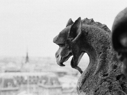 Stone gargoyles overlooking the Paris skyline in Paris, Île-de-France, France