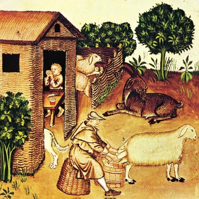 Ilustración incluida en el Tacuinum sanitatis