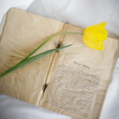 Marina Tsvetaeva ha vissuto e scritto con passione travolgente, esprimendo conflitti interiori, amore estremo e disillusione storica