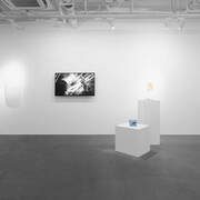 Various artists, Kungfu lightness, exhibition view. Courtesy of Vanguard Gallery