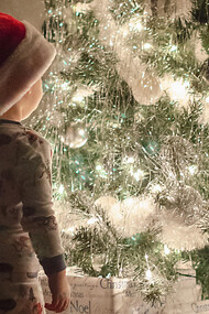 Pensar no Natal com meses de antecedência pode parecer cedo, mas para alguns é o momento perfeito para sentir a magia festiva. As luzes, a decoração e o calor humano começam a preparar o caminho para um final de ano cheio de esperanças e carinho