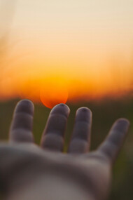 Mão estendida em meio à natureza.  Perceberemos com uma clareza irritante que a nossa necessidade imatura por atenção e as nossas carências são na verdade uma atitude irreverente do ser para com a sua essência.
