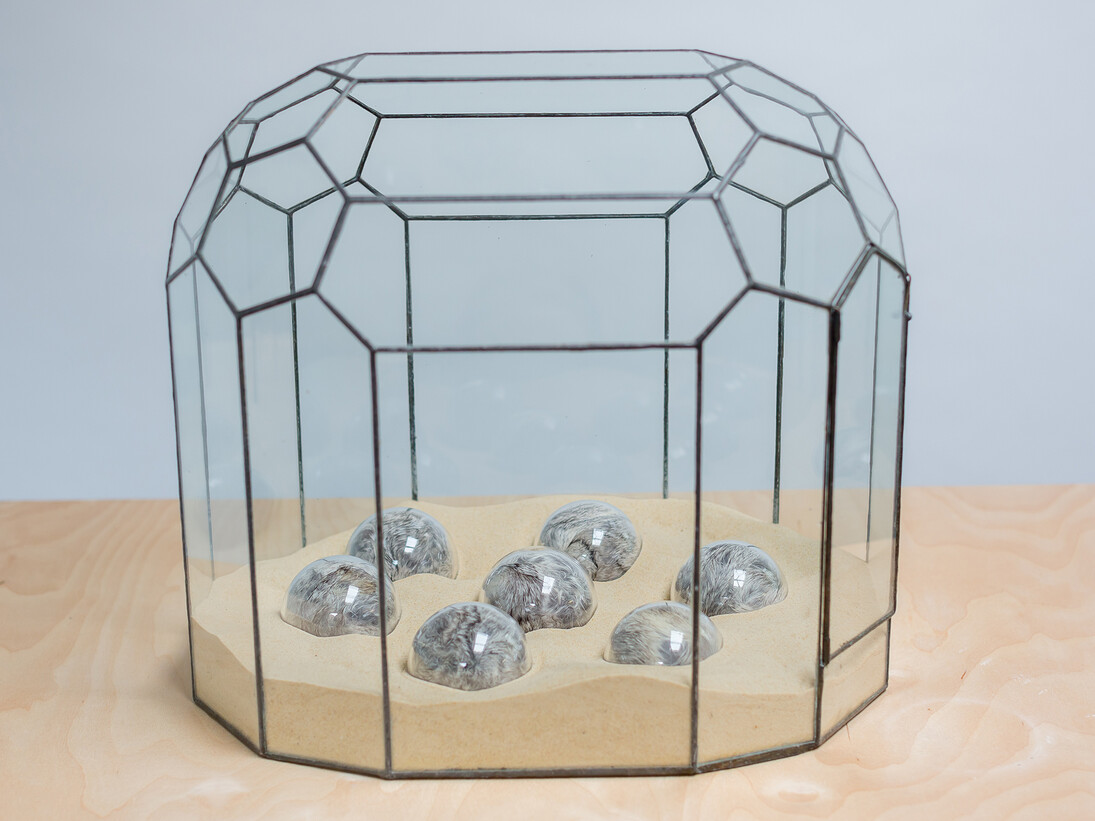 Adeline de Monseignat, Incubator II, 2012, vintage fur, handblown glass, sand, terrarium. Courtesy the artist and Ronchini Gallery