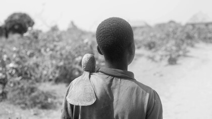  O desenvolvimento rural em Moçambique enfrenta múltiplos obstáculos que limitam o progresso socioeconômico das comunidades rurais. Entre os principais desafios estão a falta de infraestrutura, analfabetismo elevado, ausência de serviços de saúde e educação e dificuldades de comercialização dos produtos agrícolas. Esses fatores afetam negativamente o rendimento das famílias
