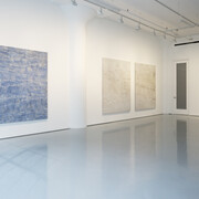Kathleen Jacobs, Woods of symbols, exhibition view. Courtesy of Fergus McCaffrey Gallery