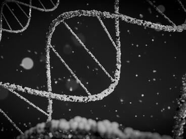 The rabies virus challenges the molecular clock, reminding us that DNA doesn’t always tick evenly