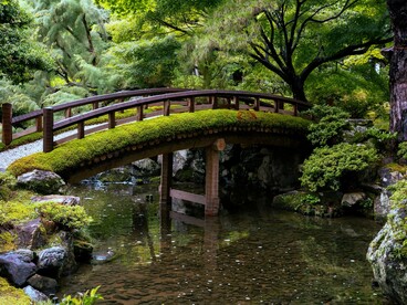 In economia, Takaichi, propone una versione protezionista delle Abenomics, con più spesa pubblica, sostegno alle industrie nazionali e tagli fiscali mirati