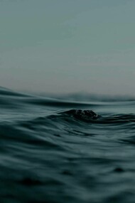 Onda del mare: l’intero universo è in uno stato di continua e disordinata mutazione di stato e di forma