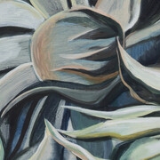 Sarah Bedford, Flannel flowers (detail), 2025. Courtesy of Mrs. Gallery