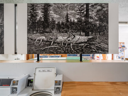 Brook Hsu and Louis Eisner, Frogs, exhibition view. Courtesy of Bortolami Gallery