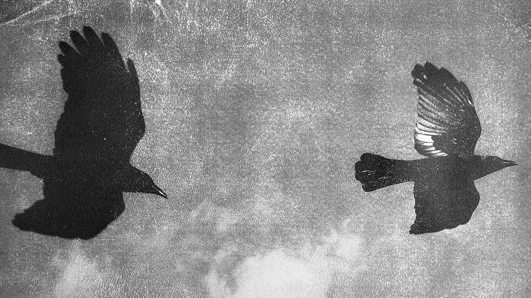 © Ayline Olukman, Our wild lives III. Two birds (detail), 2025. Courtesy of Tobe Gallery