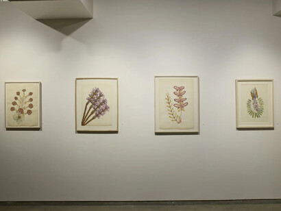 Anna Zemánková, Collaging the visition, exhibition view. Courtesy of Cavin Morris Gallery