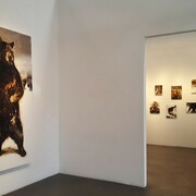 James Griffith, Exhibition view. Courtesy of Craig Krull Gallery