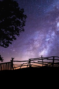 Contemplando el cielo estrellado
