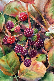 Ann Mortimer, Blackberries