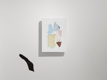 Manoela Medeiros, Tropical still life, exhibition view. Courtesy of Palo Gallery