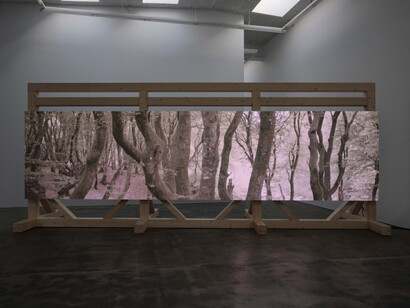 Jesper Just, Interoceptions, exhibition view. Courtesy of Galleri Nicolai Wallner 