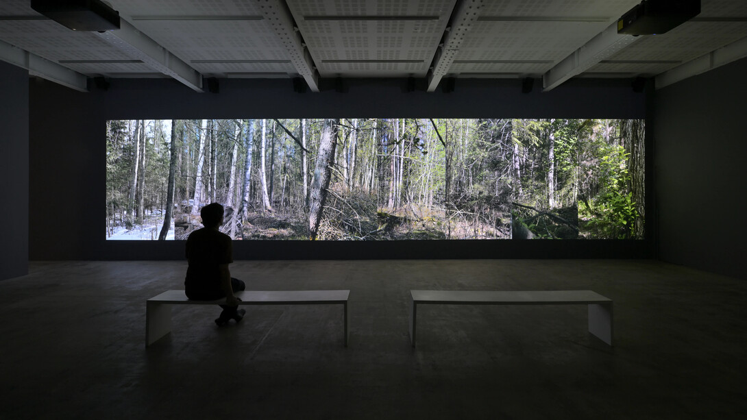 Eija-Liisa Ahtila, On breathing, vue d'exposition. Avec l’aimable autorisation de la galerie Marian Goodman