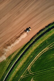 Edição de genes com CRISPR-Cas9 usada para melhorar a produção de colheitas